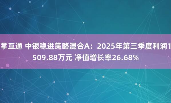 掌互通 中银稳进策略混合A：2025年第三季度利润1509.88万元 净值增长率26.68%