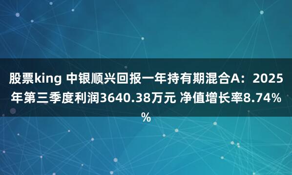 股票king 中银顺兴回报一年持有期混合A：2025年第三季度利润3640.38万元 净值增长率8.74%