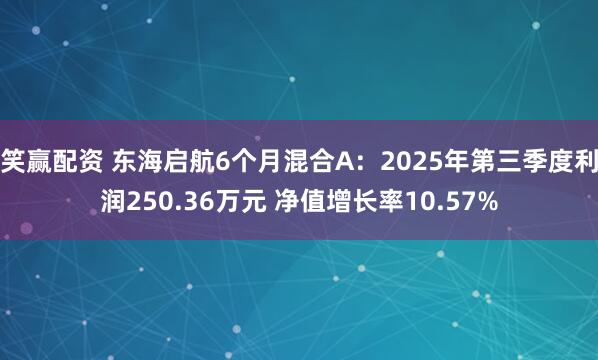 笑赢配资 东海启航6个月混合A：2025年第三季度利润250.36万元 净值增长率10.57%
