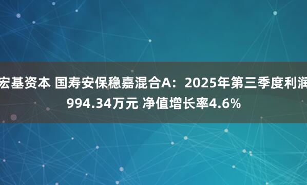 宏基资本 国寿安保稳嘉混合A：2025年第三季度利润994.34万元 净值增长率4.6%