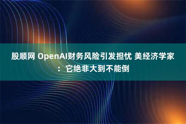 股顺网 OpenAI财务风险引发担忧 美经济学家：它绝非大到不能倒