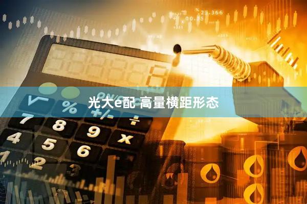光大e配 高量横距形态