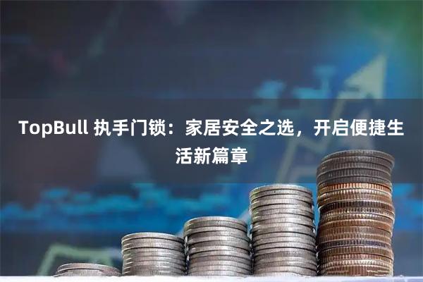 TopBull 执手门锁：家居安全之选，开启便捷生活新篇章