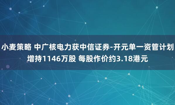 小麦策略 中广核电力获中信证券-开元单一资管计划增持1146万股 每股作价约3.18港元